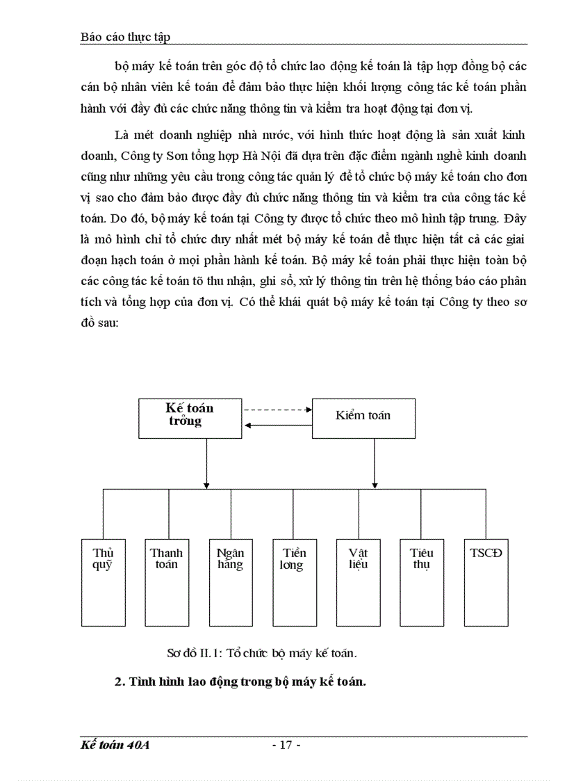 image for page Báo cáo tổng hợp tình hình tổ chức bộ máy kế toán và công tác kế toán của Công ty Sơn tổng hợp Hà Nội.