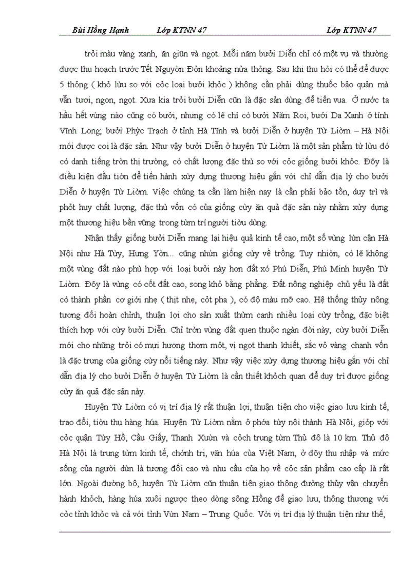 image for page Giải pháp xây dựng thương hiệu bưởi Diễn ở huyện Từ Liêm – Hà Nội