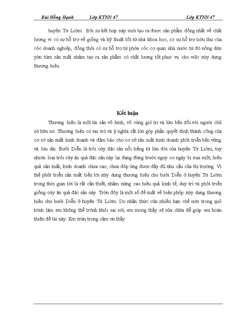 image for page Giải pháp xây dựng thương hiệu bưởi Diễn ở huyện Từ Liêm – Hà Nội