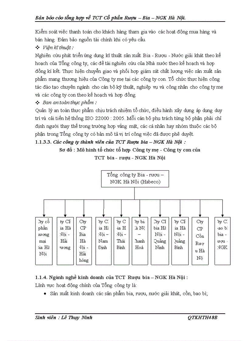 Báo cáo tổng hợp về TCT Cổ phần Rượu – Bia – NGK Hà Nội