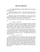 Báo cáo tổng hợp Công ty du lịch dịch vụ Hà Nội – Toserco