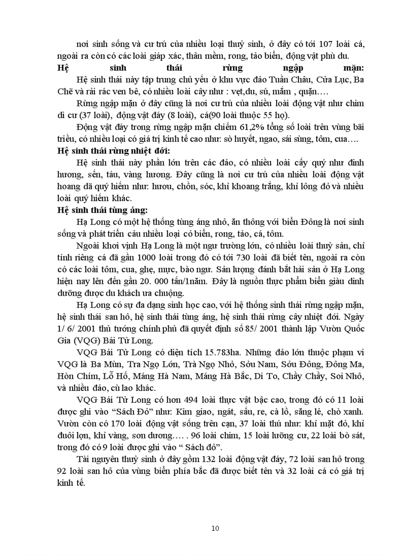 image for page Bài báo cáo về du lịch Vịnh hà Long tỉnh Quảng Ninh