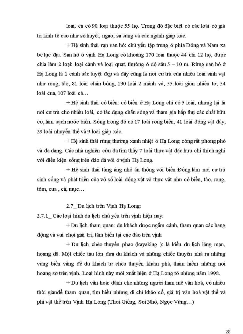 image for page Báo cáo thực tập ngành du lịch: Hạ Long