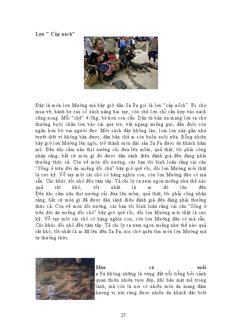 image for page Báo cáo thực tập tập du lịch Giới Thiệu Về Khu Du Lịch Sapa