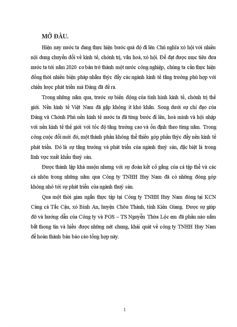 image for page Báo cáo tổng hợp về công ty TNHH Huy Nam