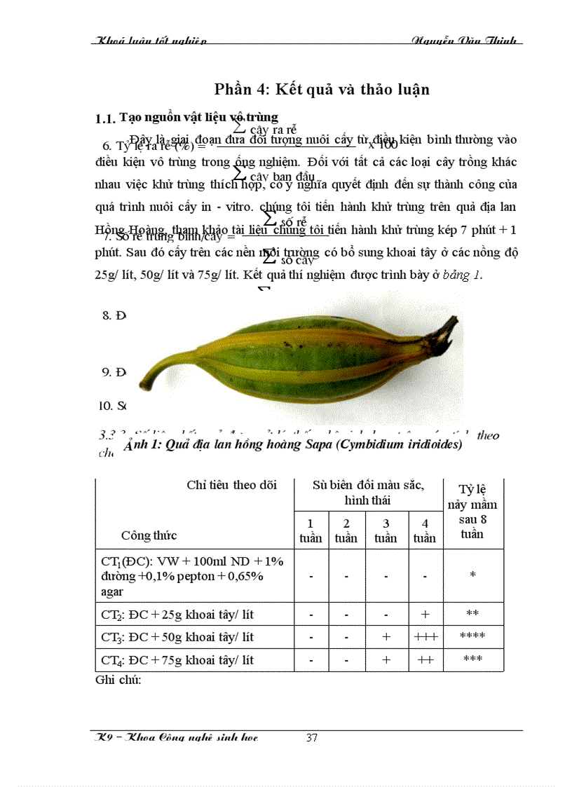 image for page Nghiên cứu nhân nhanh giống địa lan Hồng hoàng Sapa (cymbidium iridioides) bằng phương pháp nuôi cấy mô tế bào