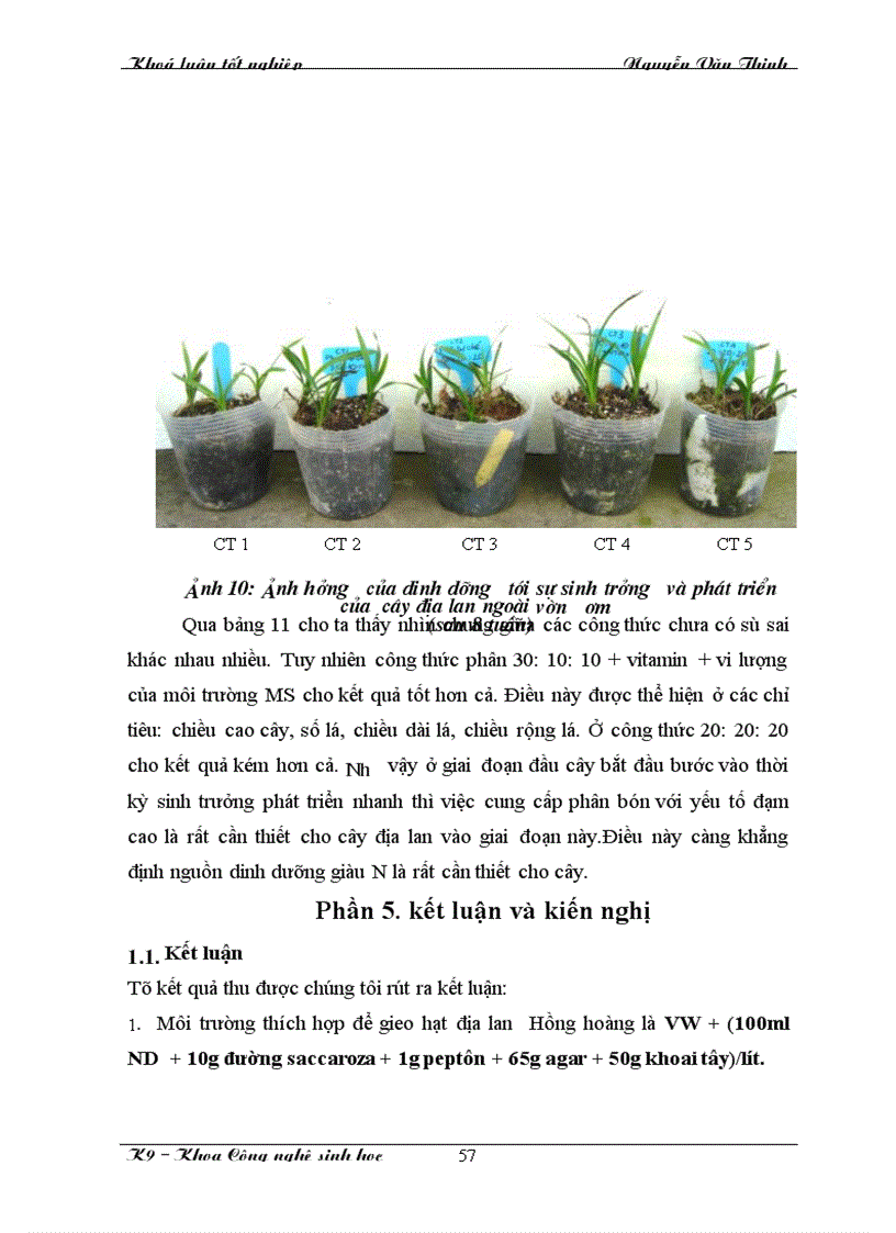image for page Nghiên cứu nhân nhanh giống địa lan Hồng hoàng Sapa (cymbidium iridioides) bằng phương pháp nuôi cấy mô tế bào