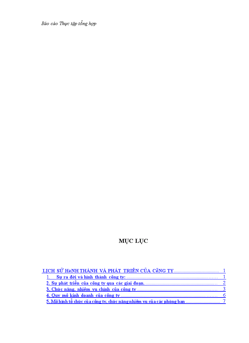 image for page Báo cáo thực tập tại công ty cổ phần thép và vật tư hà nội