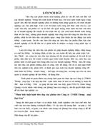 Một số giải pháp thúc đẩy hoạt động tiêu thụ sản phẩm tại Công ty TNHH Thương mại Đại Việt