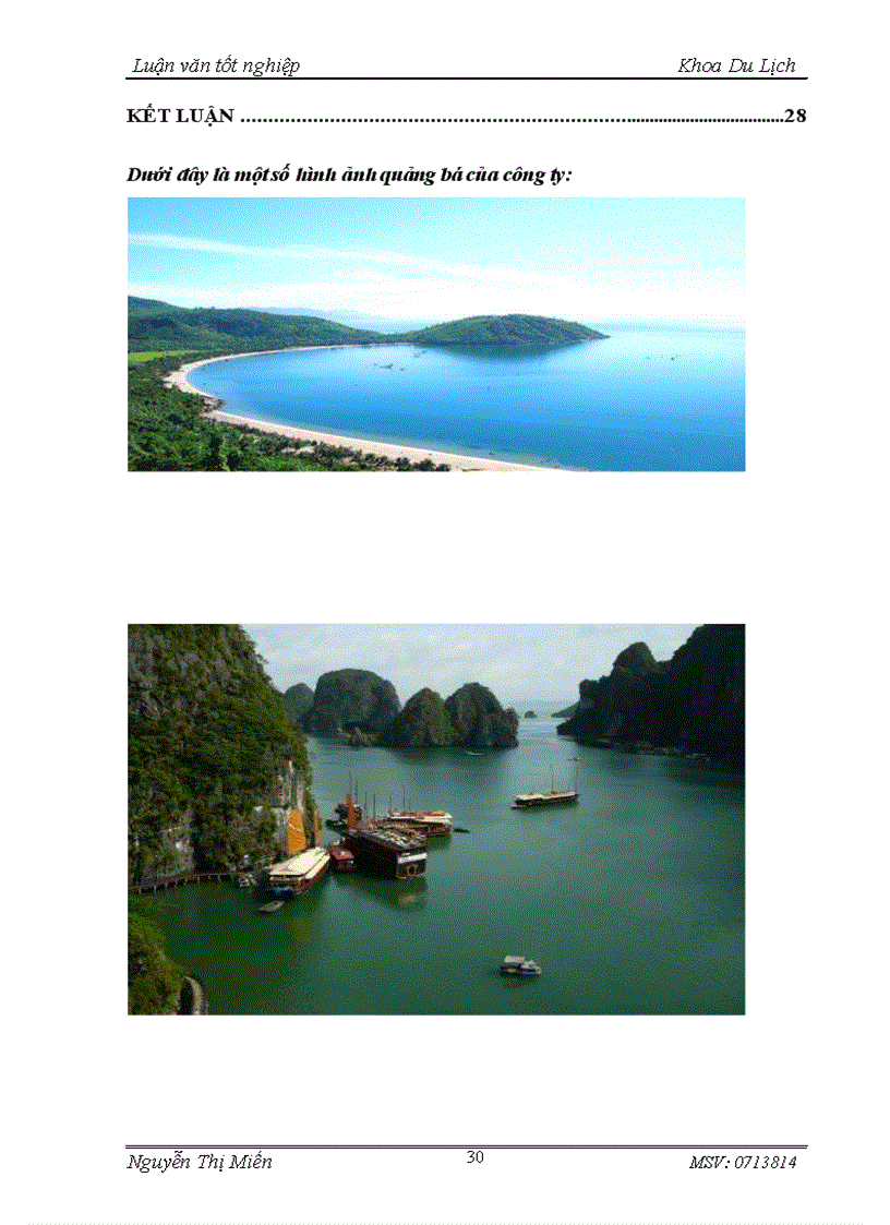 image for page Một số giải pháp để nâng cao hoạt động kinh doanh lữ hành của công ty du lịch và dịch vụ hàng không việt