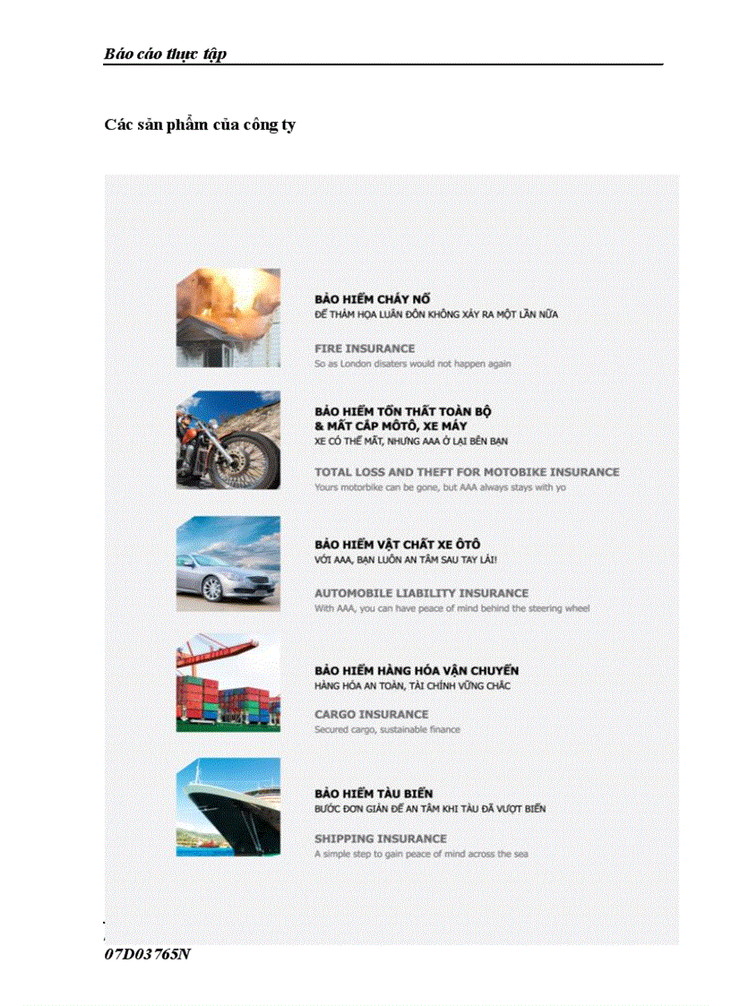 image for page Đặc điểm các nguồn lực của công ty cổ phần bảo hiểm aaa chi nhánh Hà Thành