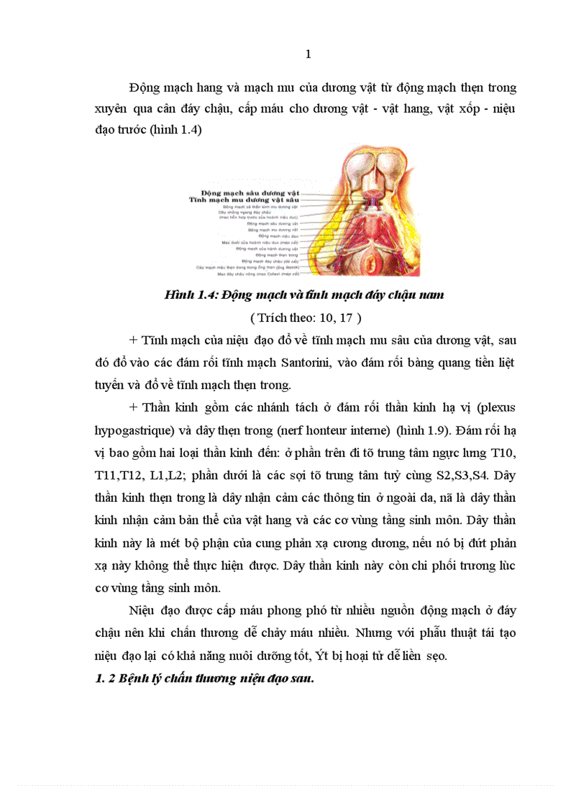 image for page Nghiên cứu kết quả điều trị chấn thương đứt niệu đạo sau do vỡ xương chậu trong tai nạn giao thông