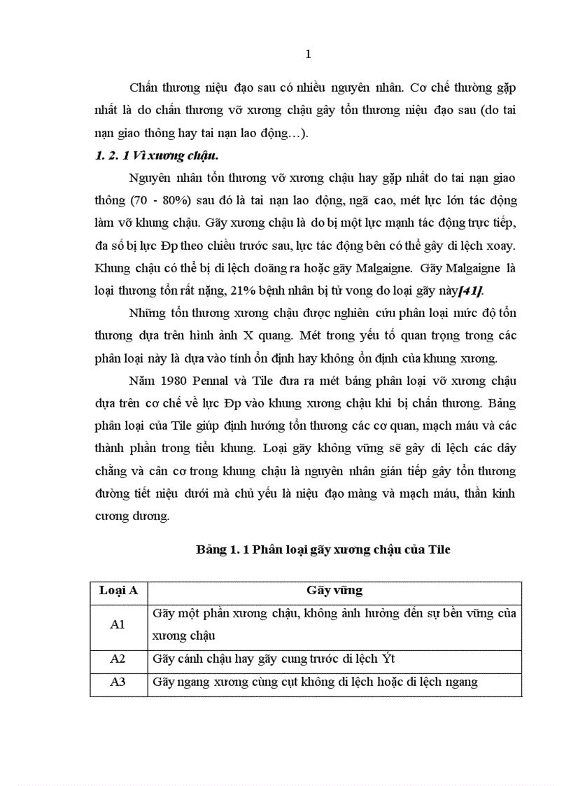 image for page Nghiên cứu kết quả điều trị chấn thương đứt niệu đạo sau do vỡ xương chậu trong tai nạn giao thông