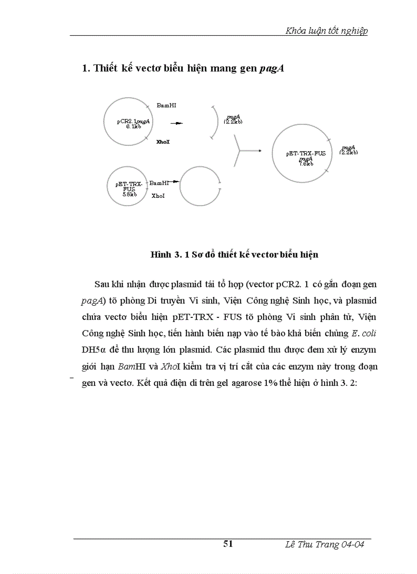 image for page Nghiên cứu biểu hiện gen mã hóa kháng nguyên bảo vệ PA của vi khuẩn Bacillus anthracis