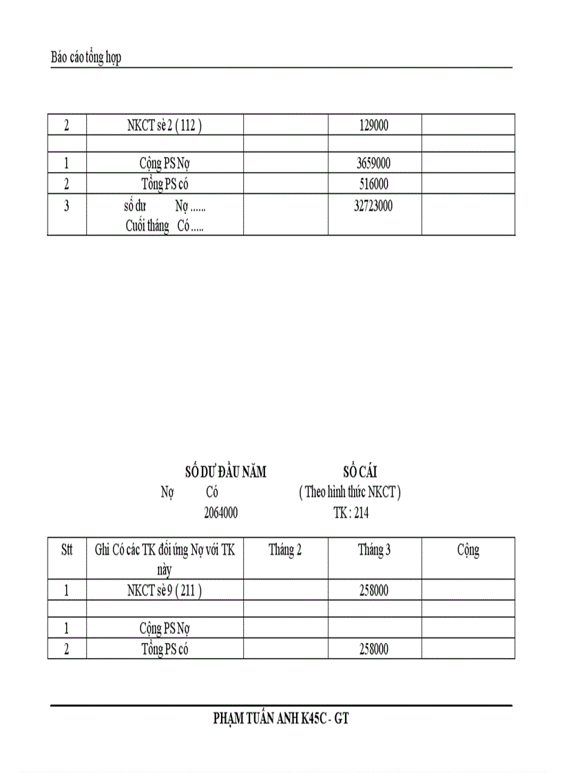 image for page Báo cáo kế toán