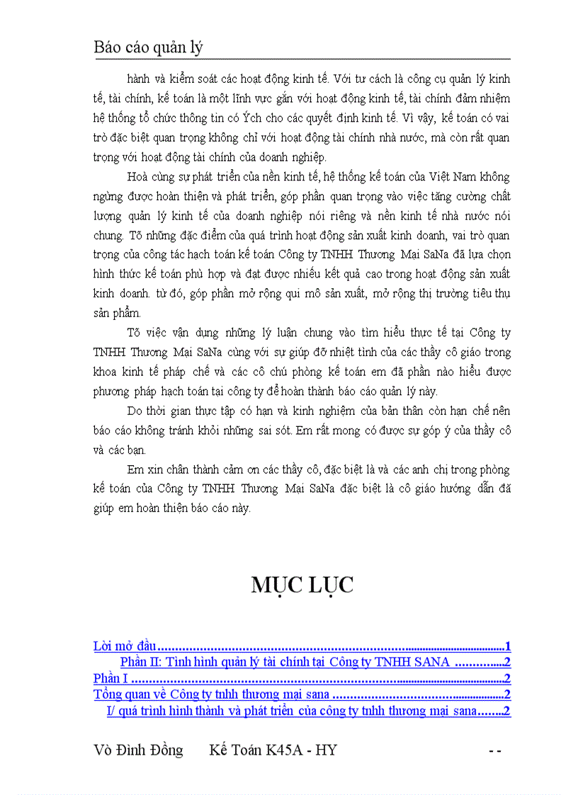 image for page Báo cáo quản lý Công ty TNHH SANA