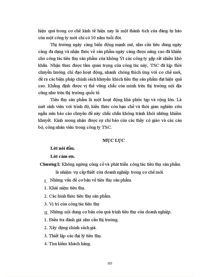 image for page Thực tế công tác tiêu thụ tại công ty thương mại và dịch vụ