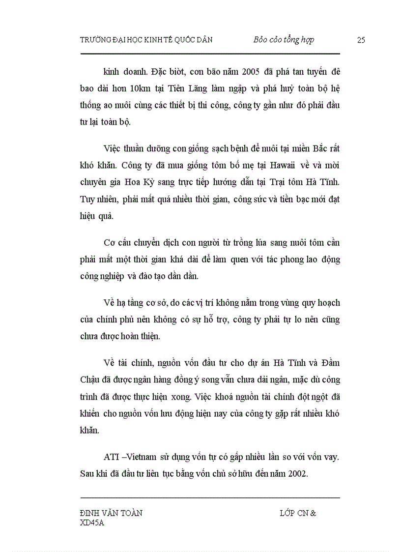 image for page Hoạt động sản xuất kinh doanh của công ty trách nhiệm hữu hạn Việt Mỹ