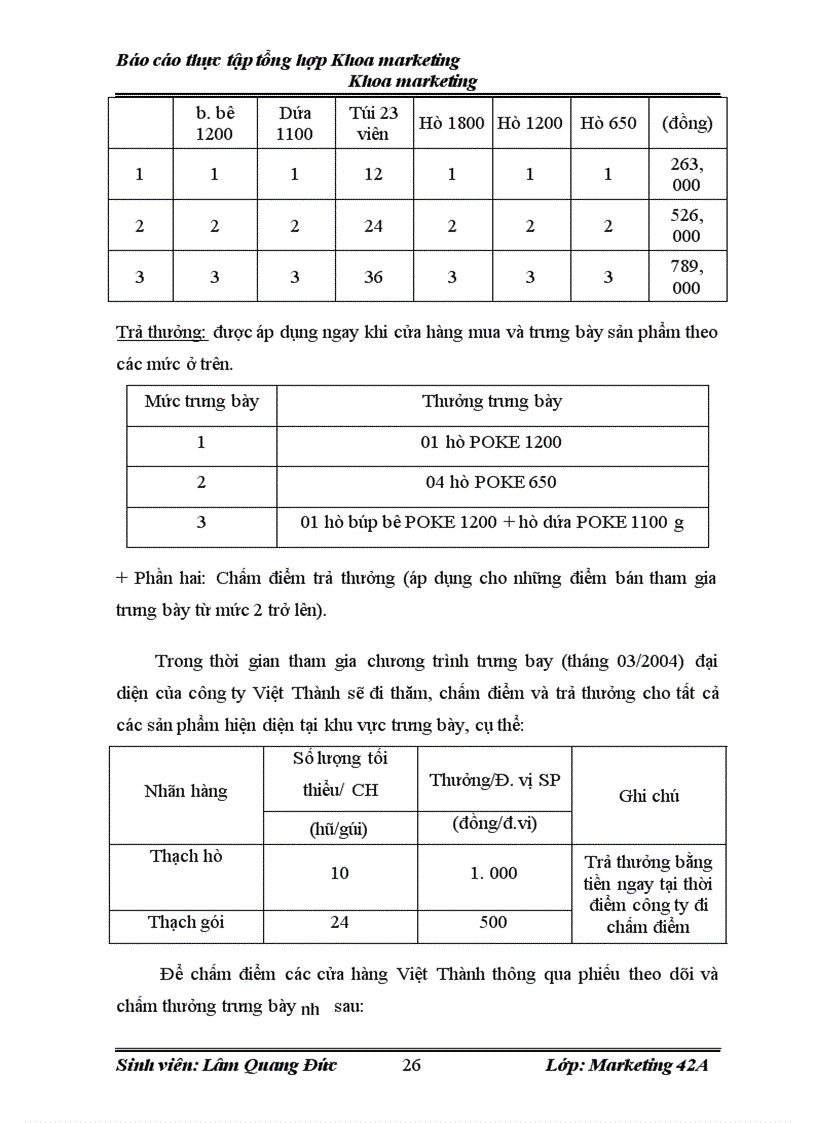image for page Hoàn thiện hệ thống marketing mix của công ty THHH Việt Thành