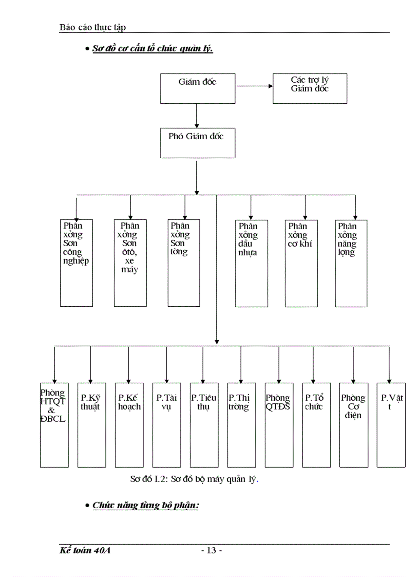 image for page Báo cáo tổng hợp tình hình tổ chức bộ máy kế toán và công tác kế toán của Công ty Sơn tổng hợp Hà Nội