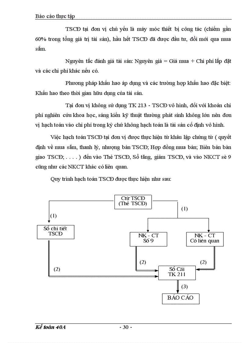 image for page Báo cáo tổng hợp tình hình tổ chức bộ máy kế toán và công tác kế toán của Công ty Sơn tổng hợp Hà Nội