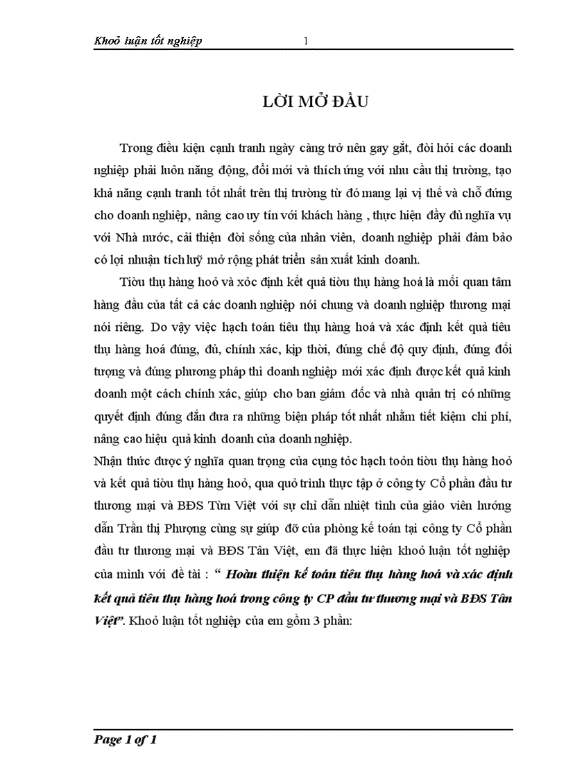image for page Hoàn thiện kế toán tiêu thụ hàng hoá và xác định kết quả tiêu thụ hàng hoá trong công ty CP đầu tư thương mại và BĐS Tân Việt