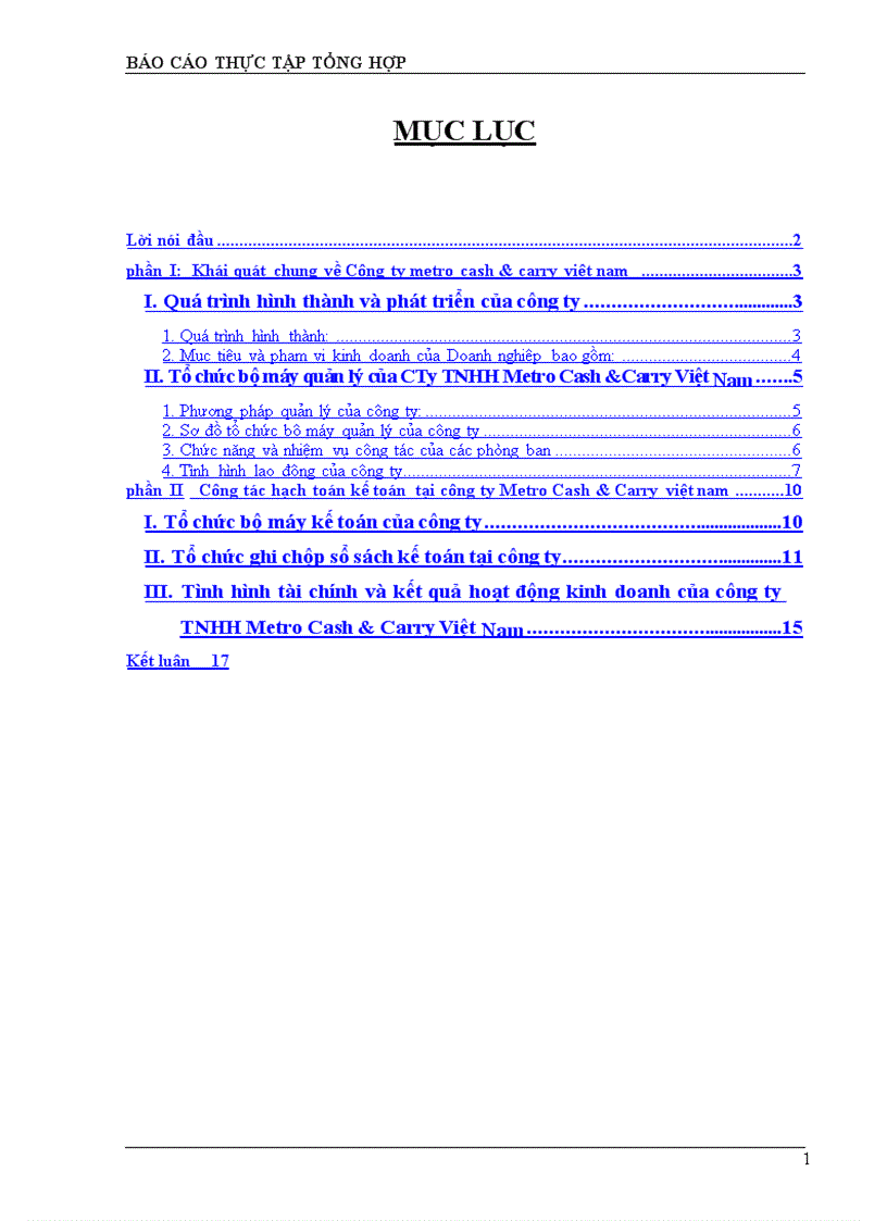 image for page Công tác hạch toán kế toán tại công ty Metro Cash & Carry việt nam