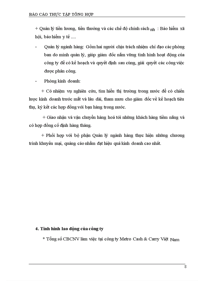 image for page Công tác hạch toán kế toán tại công ty Metro Cash & Carry việt nam