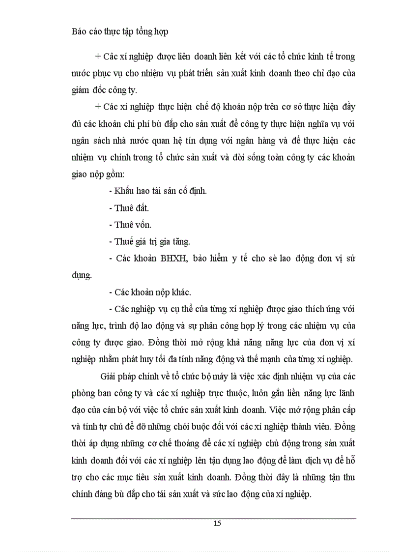 image for page Thực trạng hoạt động sản xuất kinh doanh nói chung và hoạt động đầu tư
