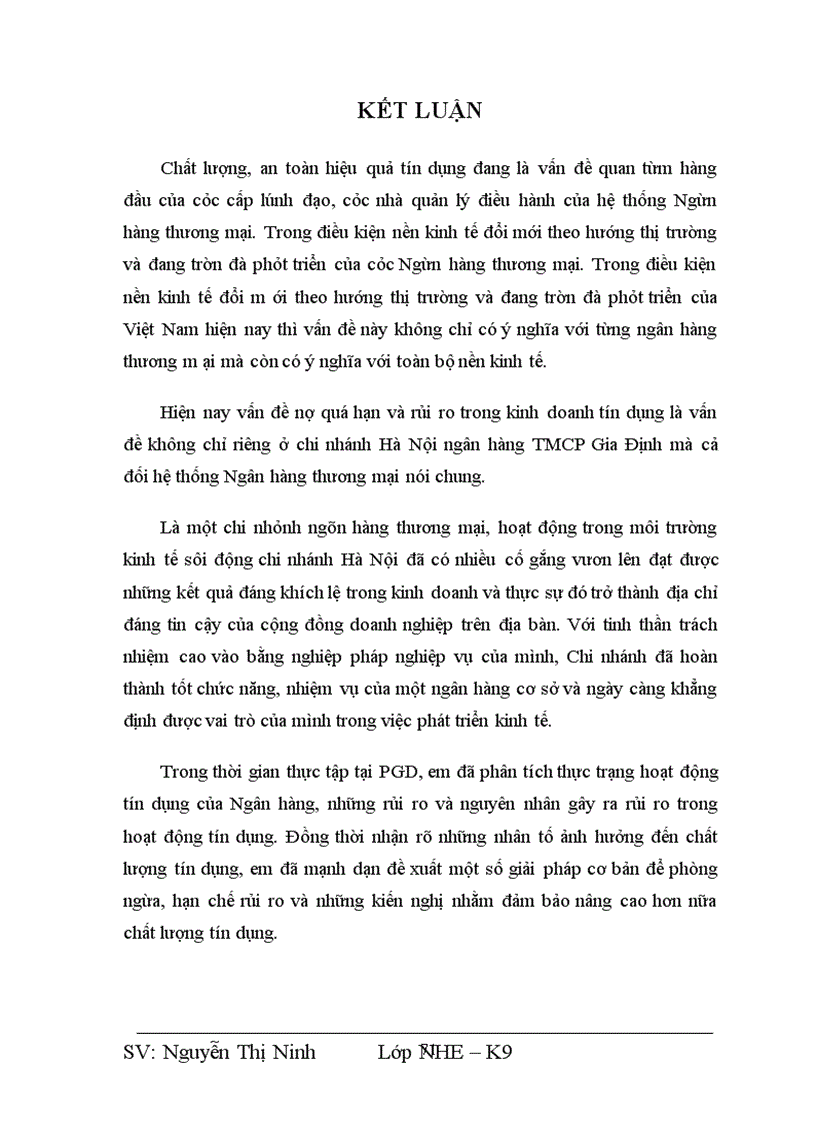 image for page Một số giải pháp phòng ngừa và hạn chế rủi ro tín dụng tại Chi nhánh Ngân hàng Thương Mại Cổ Phần Gia Định, PGD Thanh Xuân