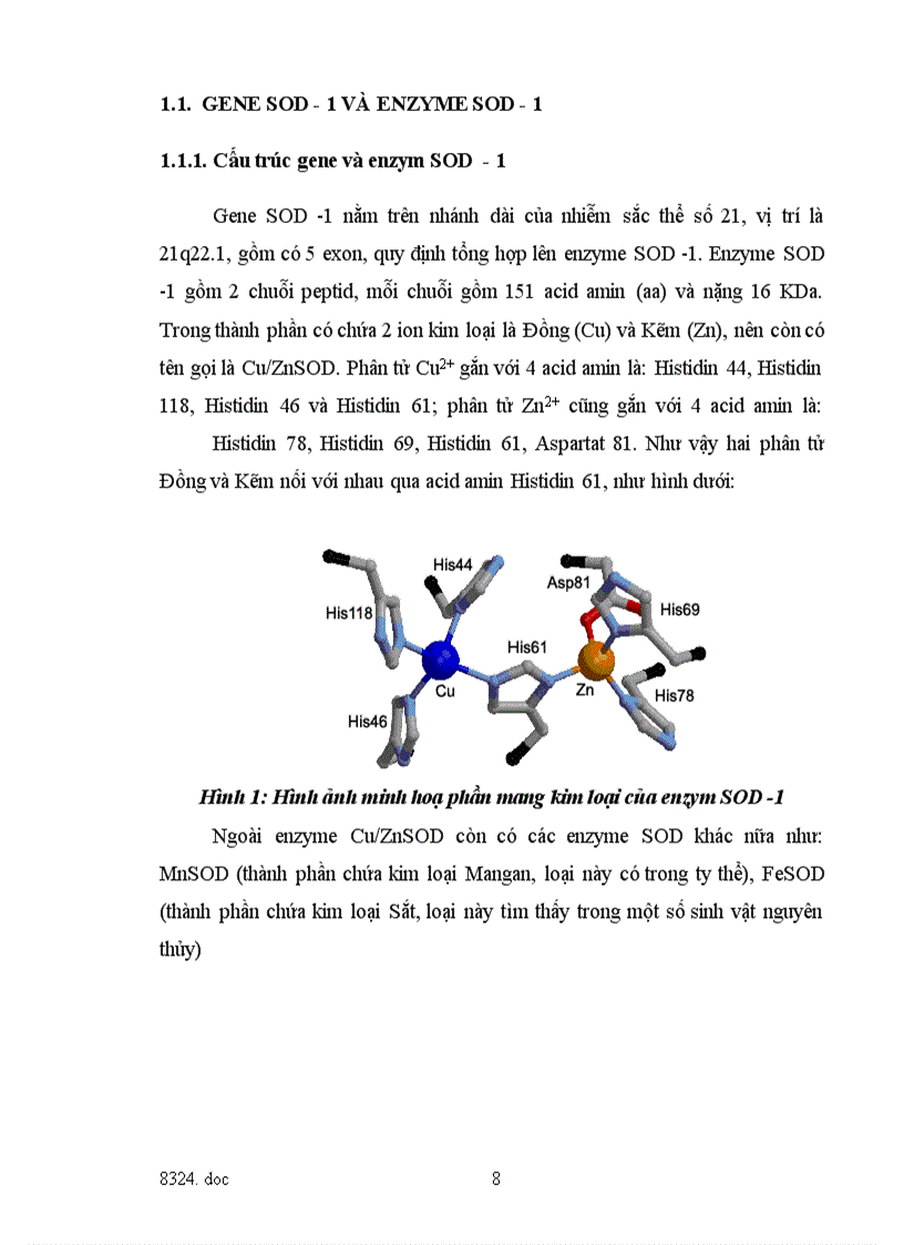 image for page Chuẩn hóa kỹ kỹ thuật phân tích gene SOD ở tế bào máu bà mẹ mang thai nghi hội chứng Down