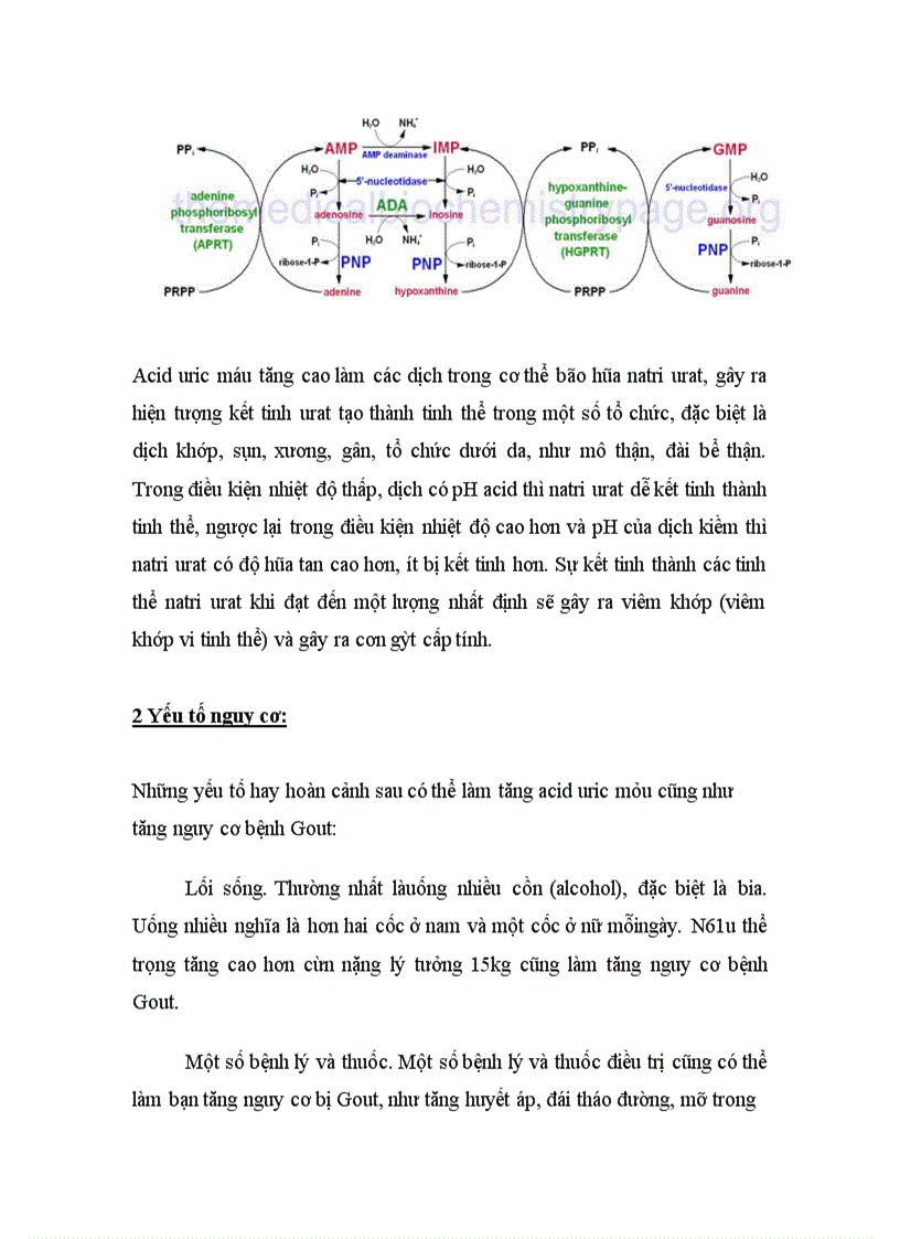 Trên cơ sở phân tích toàn bộ quá trình thoái hóa và tổng hợp các acid nucleic cũng như các nucleotid hãy tìm các nguyên nhân có thể gây ra bệnh Gout và đưa ra giải pháp để phòng và điều trị căn bệnh này.