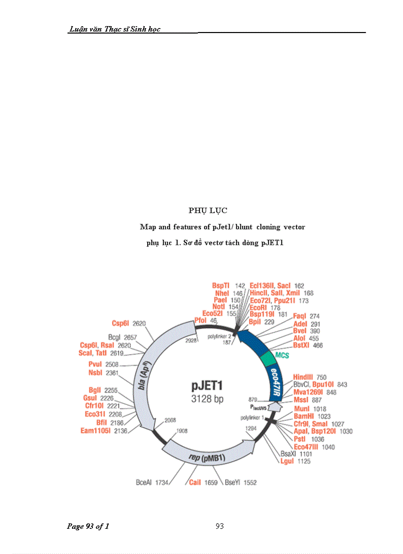 image for page Tổng hợp và biểu hiện gen mã hóa cho enterocin AS-48 của vi khuẩn Enterococcus faecium trong tế bào Escherichia coli ER2566
