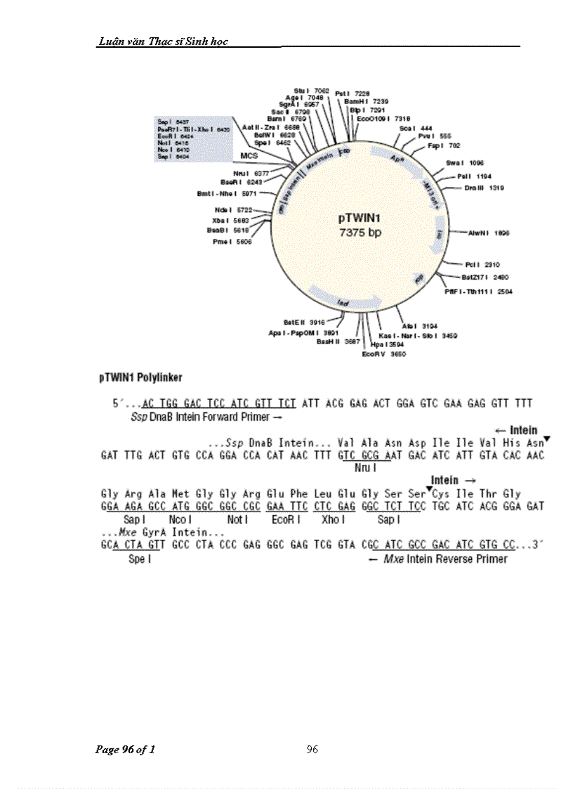 image for page Tổng hợp và biểu hiện gen mã hóa cho enterocin AS-48 của vi khuẩn Enterococcus faecium trong tế bào Escherichia coli ER2566