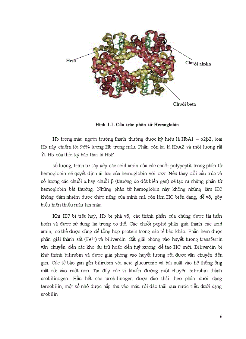 image for page Khảo sát tình hình thiếu máu của các bệnh nhân điều trị tại Bệnh viện Đa khoa Sơn Tây 6 tháng đầu năm 2008