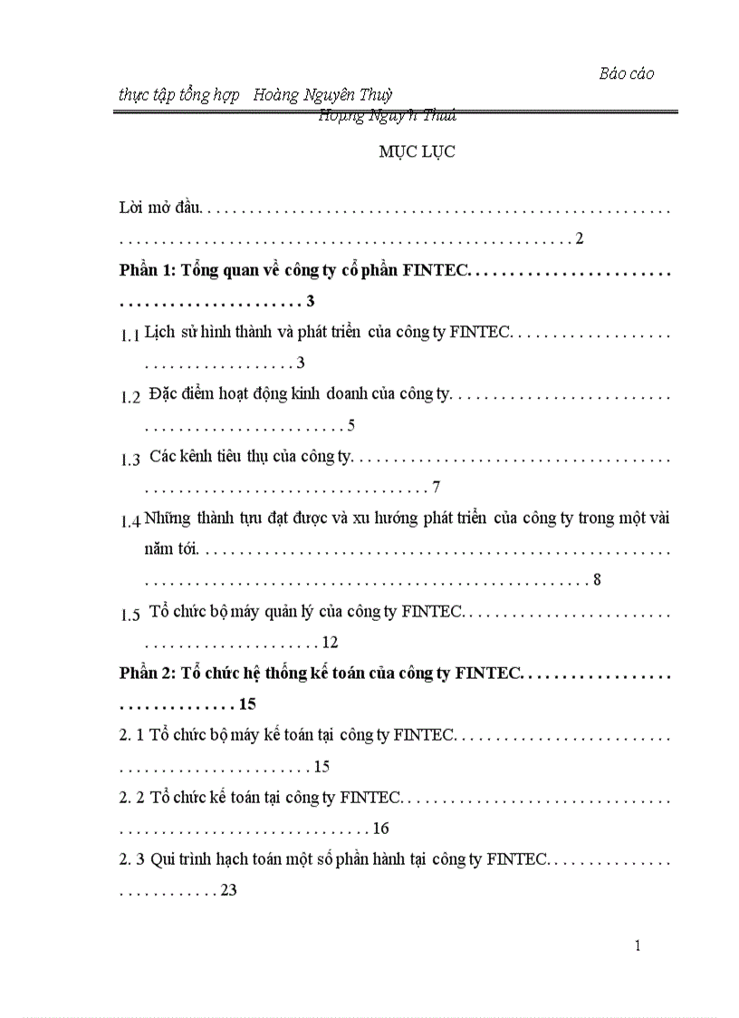 image for page Báo cáo tổng hơp về công ty FINTEC.