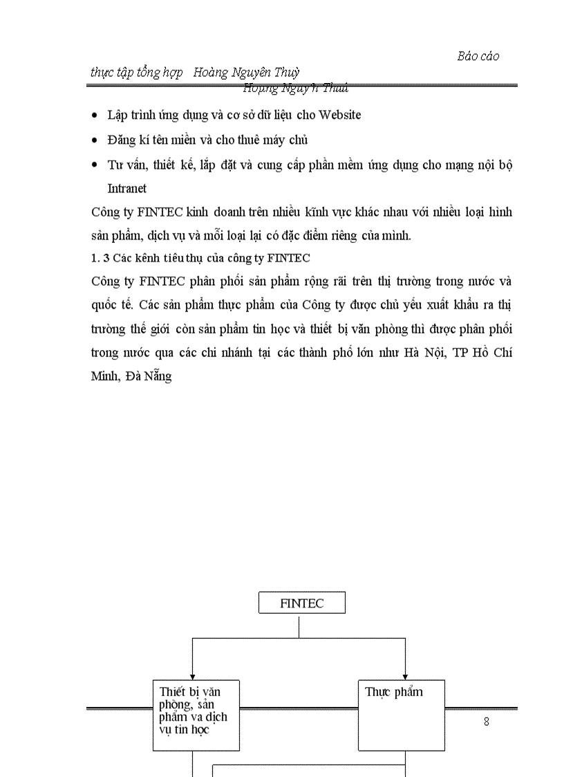 image for page Báo cáo tổng hơp về công ty FINTEC.