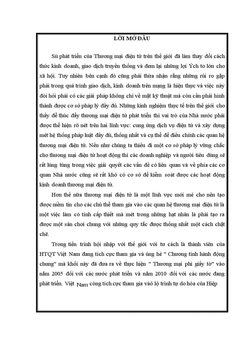 Thương mại điện tử - những nổ lực của viiệt nam đối với thương mại quốc tế