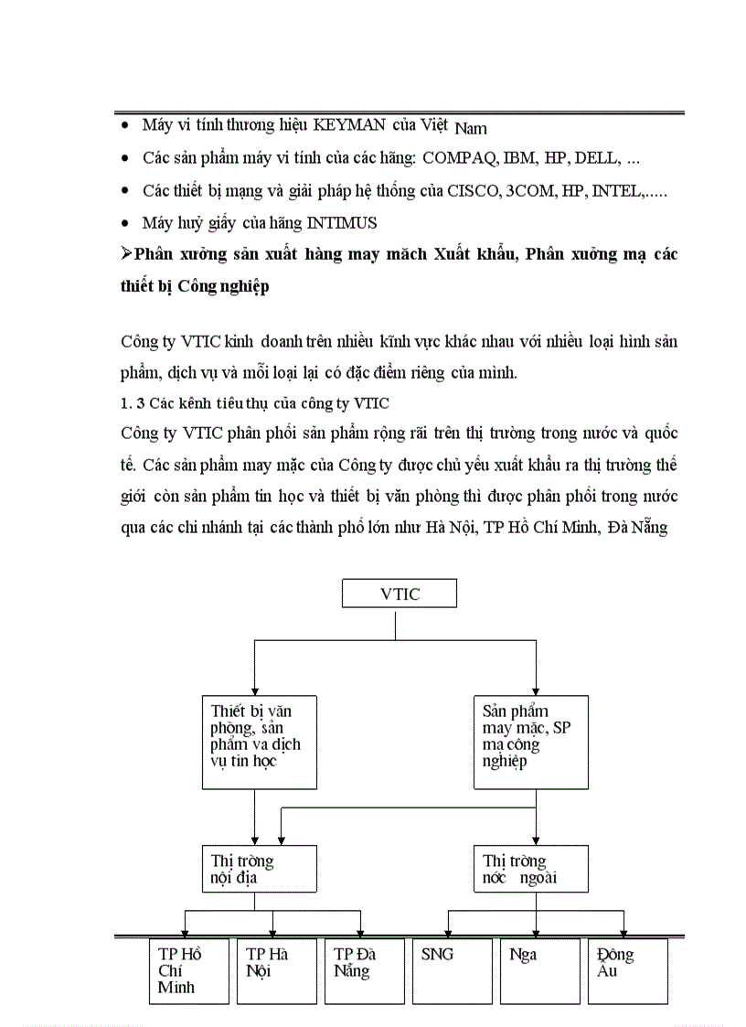image for page Báo cáo thực tập tại Công ty Cổ phần thương mại hợp tác và đầu tư Việt Nam ( VTIC )
