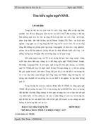 Đồ hoạ máy tính và hiện thực ảo