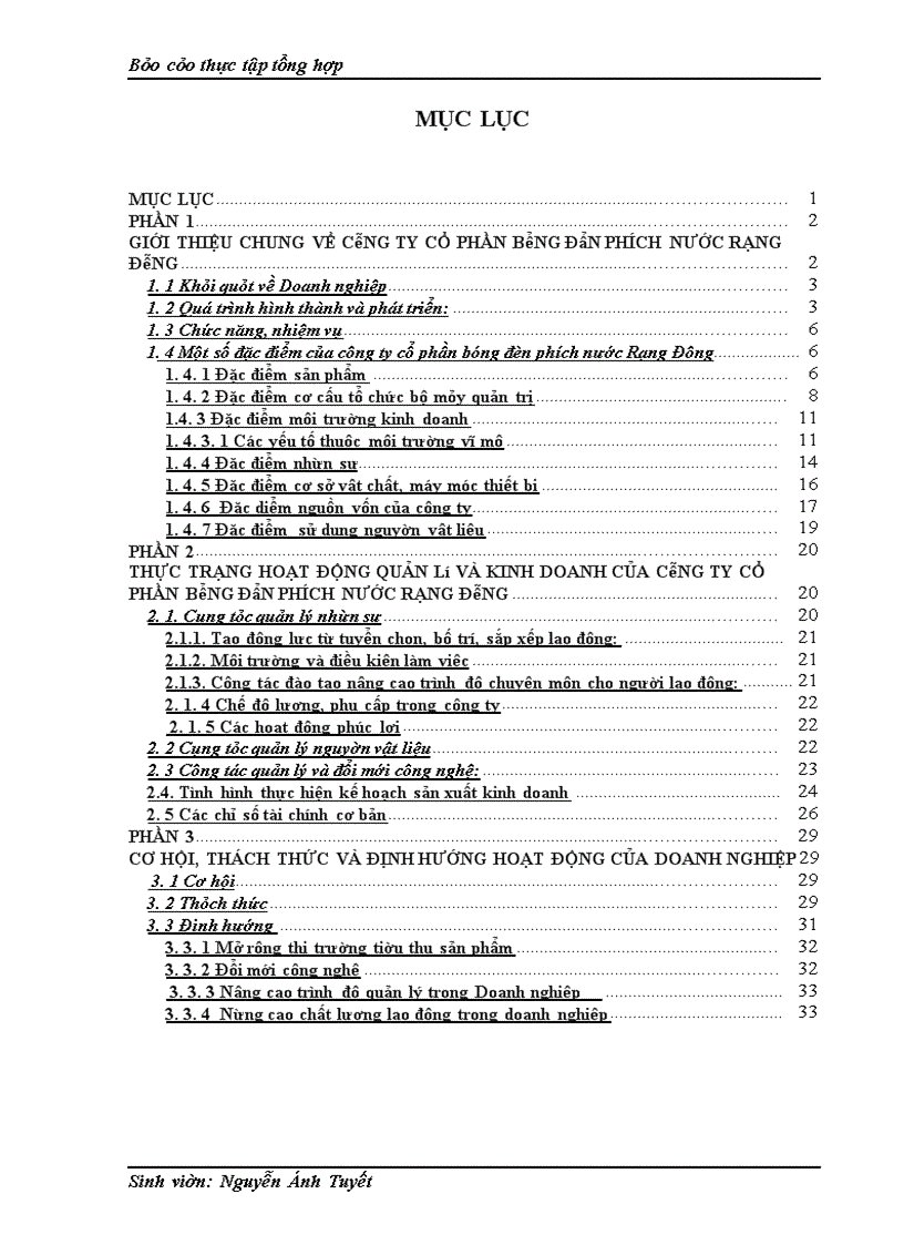 image for page Báo cáo tổng hợp: công ty cổ phần bóng đèn phích nước Rạng Đông