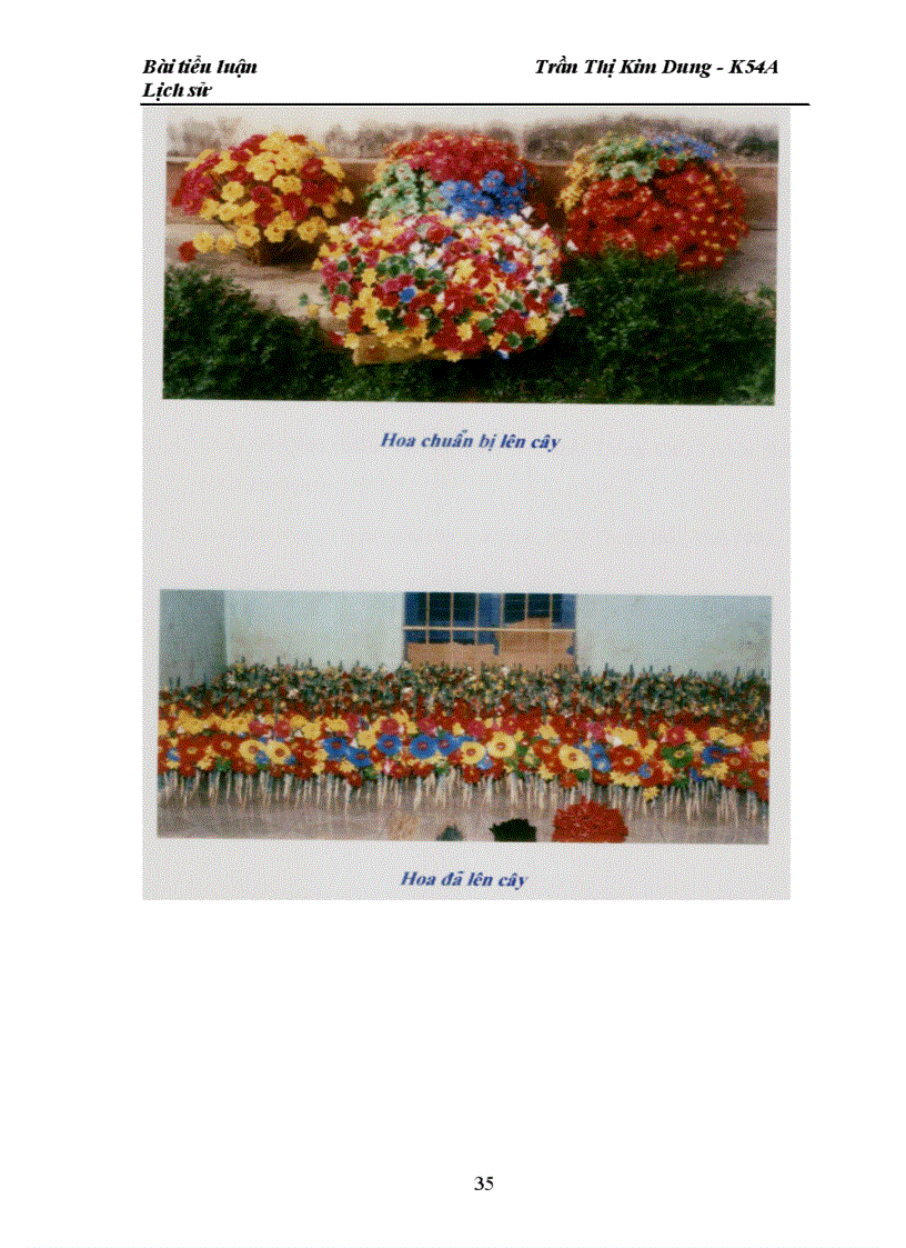 image for page Sự ra đời của nghề làm hoa giấy