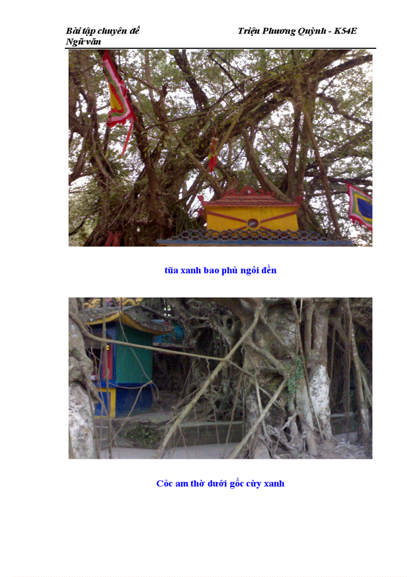 image for page Nghiên cứu văn học dân gian từ mã và mã văn hóa