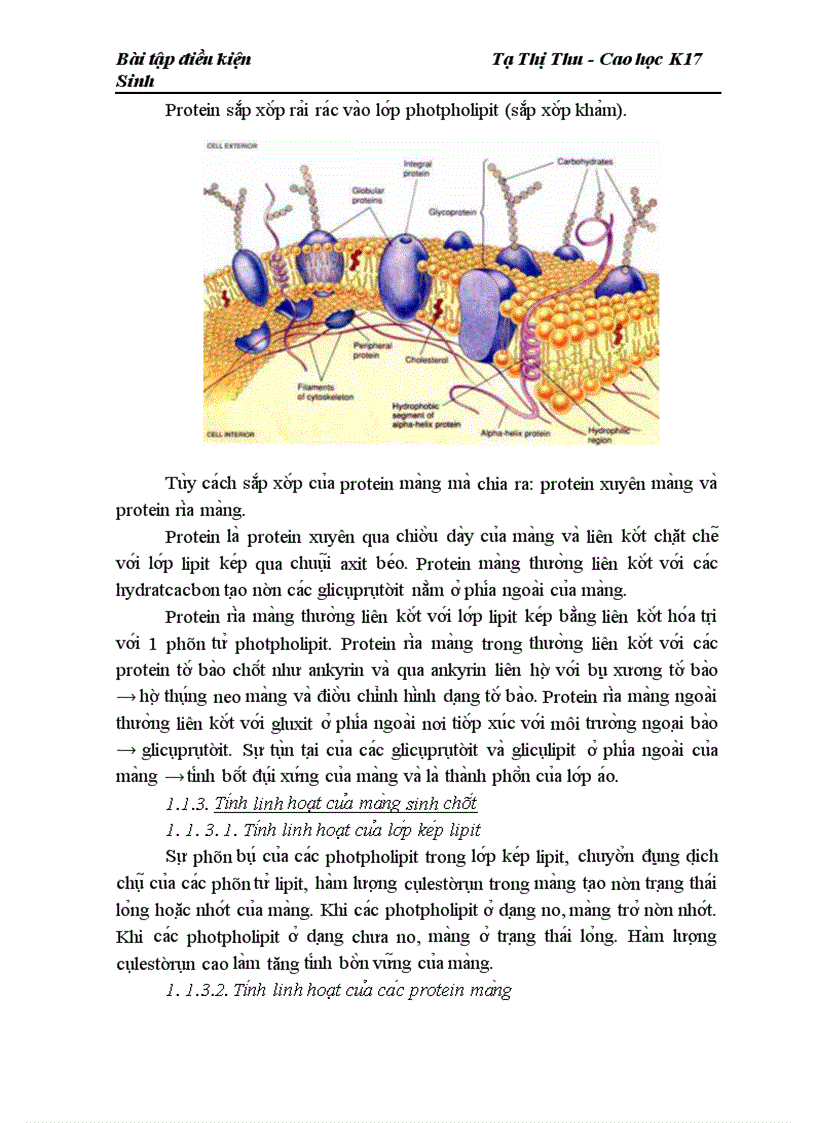 image for page Màng nội bào và quá trình tổng hợp các đại phân tử