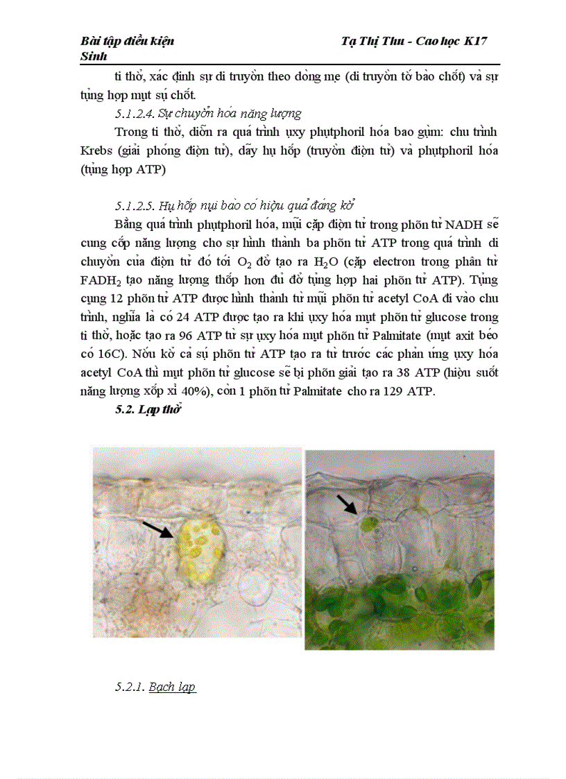 image for page Màng nội bào và quá trình tổng hợp các đại phân tử