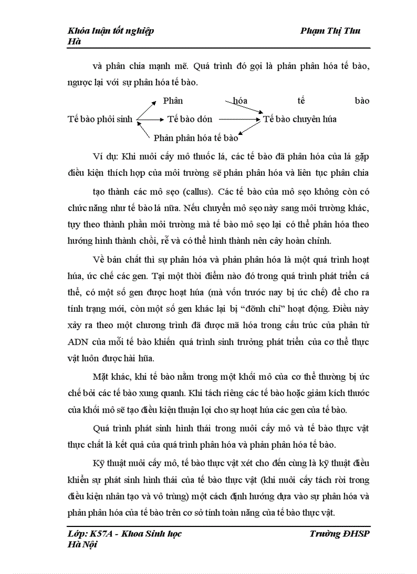 image for page Nghiên cứu quy trình tạo củ in vitro ở một số giống khoai môn sọ địa phương (Colocasia esculenta (L.) Schott)
