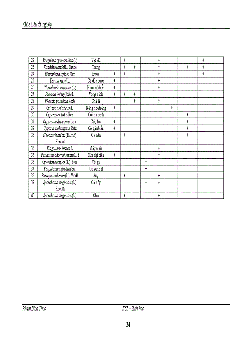image for page Nghiên cứu thành phần loài, sự phân bố và tái sinh của một số cây ngập mặn chính ở vùng ven biển huyện Hải Hà, tỉnh Quảng Ninh