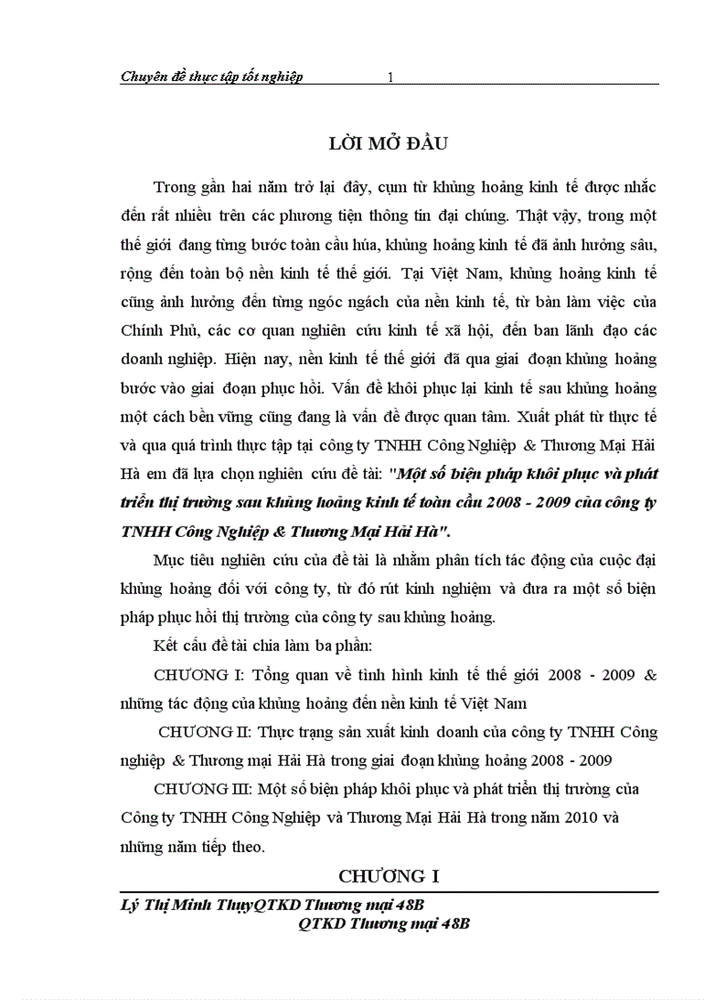 image for page Một số biện pháp khôi phục và phát triển thị trường sau khủng hoảng kinh tế toàn cầu 2008-2009 của công ty TNHH Công Nghiệp & Thương Mại Hải Hà