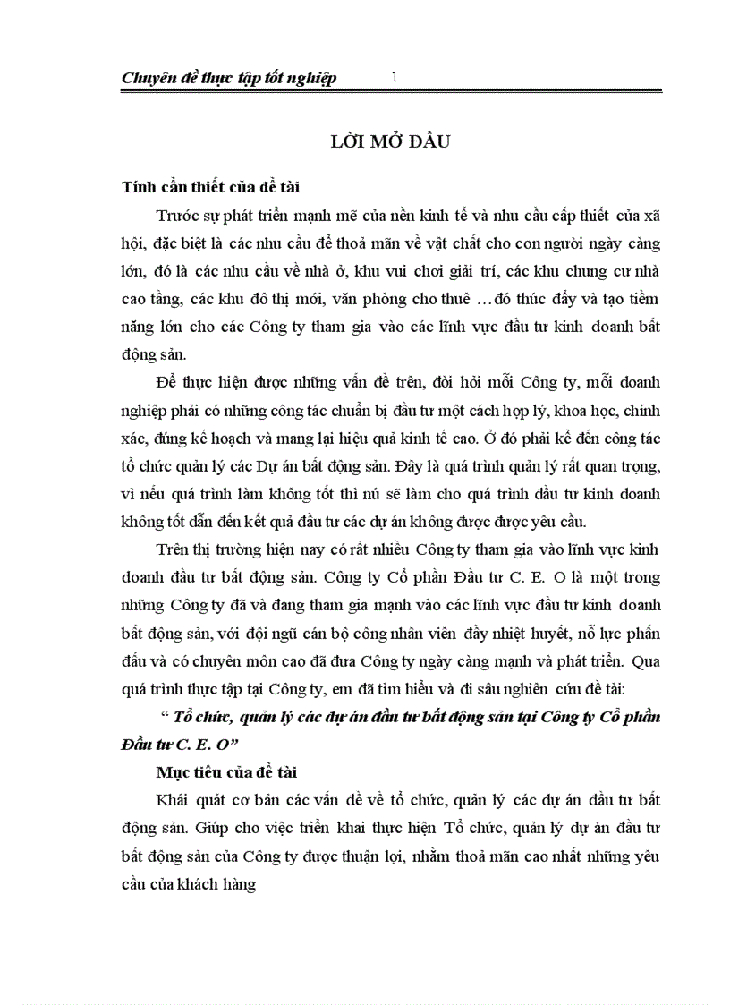 image for page Tổ chức, quản lý các dự án đầu tư bất động sản tại Công ty Cổ phần Đầu tư C.E.O