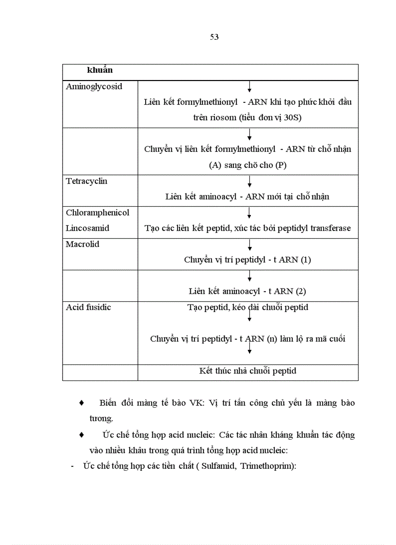 image for page Định dạng vi khuẩn và kháng sinh đồ trong VTGmt trẻ em dưới 15 tuổi.